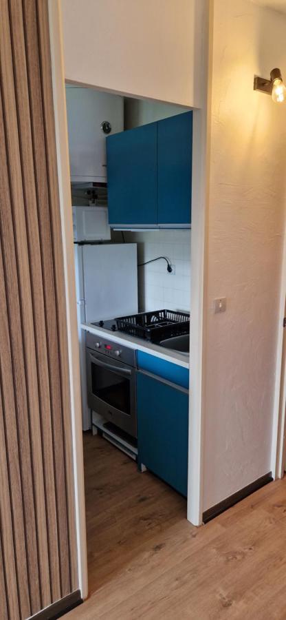 Appartement Saint Lary - Pla D'Adet - Aux Pieds Des Pistes Kültér fotó